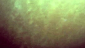 Jamaican BBC Fucking Miami Haitian Pussy and Asshole Hard