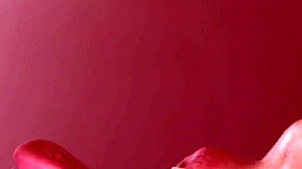 in this captivating japanese love story, a young woman and man discover true love amidst life's trials