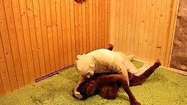 Sex Dolls Get Fucked By Valentino.