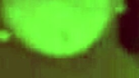 Does this horny guy do everything to you in bed? Orgasms, blowjobs, tremendous fucking!