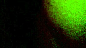 Black ebony striptease performance