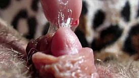 Intense Clit Orgasm Close-Up Evokes Deep Emotions