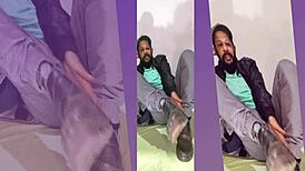 Solo homemade update from August 13, 2024