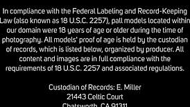 capri anderson fucks her pussy wildly with toy