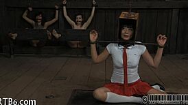 I see four angels in the tiny cage