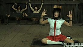 I see four angels in the tiny cage