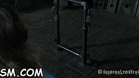 Explore erotic s&m scenes with blowjobs, hardcore fucking, bondage, and femdom punishment in these pics