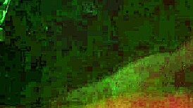 latina girlfriend sucking cock in pov homemade video