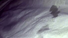 dotado gozando gostoso na punheta kingofxofficial