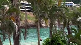 I saw that liberal boat give in the living room right in front of everyone, it was so embarrassing