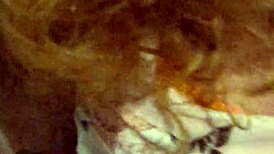 fucked so loud they made us change rooms balcony fucking in vegas with richelle rose