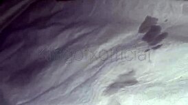 dotado gozando gostoso na punheta kingofxofficial