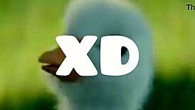 Entrevistando Comentaristas 2 Patito Shitpost Soygaulex Creampie Tits