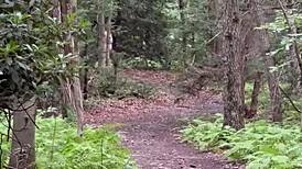 Compilation Of Walking Naked And Hiking!