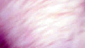 Amateur couple first time filming