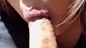 exploring the unique aspects of project 002 in detail