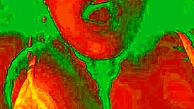 Exotic Bluee shows pleasure while pussy licked