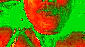 Exotic Bluee shows pleasure while pussy licked