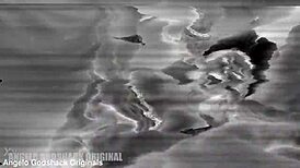 Elen Million's Hardcore Gangbang Dp Dvp With Squirting And Anal Creampie