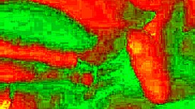 Exotic Bluee shows pleasure while pussy licked