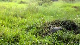 These hot colombian guys are outdoors, so sexy! 😍