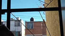 Pr�cticando Nudismo