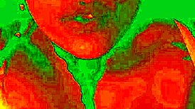 Exotic Bluee shows pleasure while pussy licked