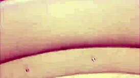 fodendo novinha no motel