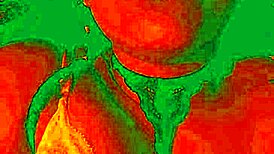 Exotic Bluee shows pleasure while pussy licked