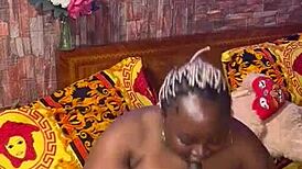 sundaydogood614 update 238 vid 20240612 015756 jun 12 2024