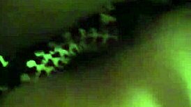 i was pounding the black ebony queen doggy style.