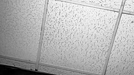 Black-Owned Business Success Story