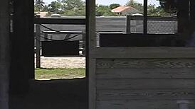 Girl Gives Blowjob On Country Ranch