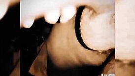 Exploring Vancouver's Canadian charm 🌆