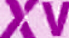 jennifer mendez joins group with maddy and black lady gang