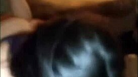 white bbw having fun with a black stallion