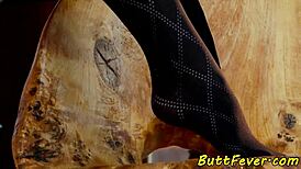 Stockings Babe Anally Fucked In Gaping Ass