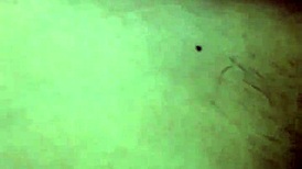 i'm cachin this flaca madura in her vagina n ass, she luvs it