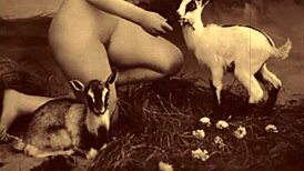 Victorian Gentleman's Secret Erotic Confessions Revealed