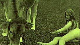 Victorian Gentleman's Secret Erotic Confessions Revealed