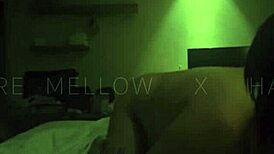 Bachelor's Party Fuck