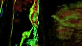 ever seen vintage interracial hairy blowjobs and fucking?