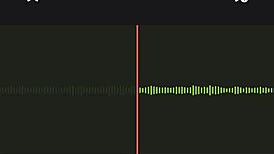 Listening to Noisy Argentinian Neighbor