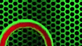 sophie dee rides metallic dildo then sucks it with big ass