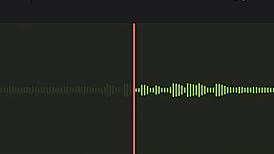 Listening to Noisy Argentinian Neighbor