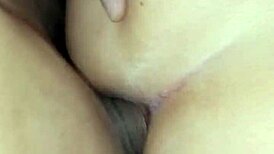 Wife's ass creampied doggystyle first time anal swallow?