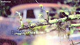 The Shadows Inside Me Unleash Deep Emotional Turmoil and Longing