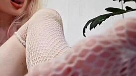 Fetish Feet Mistress Elza Koms Teases in Wet Lingerie and Panty Domination