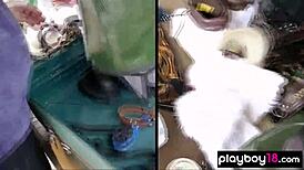 kate intoducin me to her mature ponyplay buds