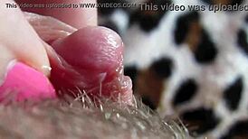 ever seen a big clit explode in orgasm?